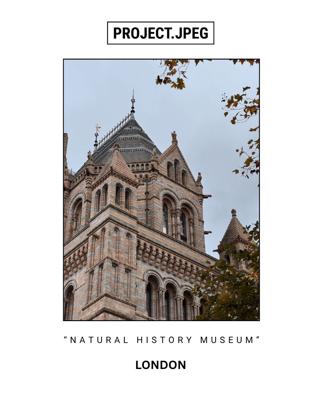 "NATURAL HISTORY MUSEUM".LONDON