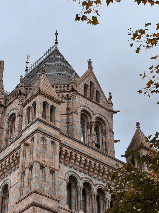 "NATURAL HISTORY MUSEUM"